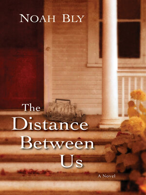 cover image of The Distance Between Us